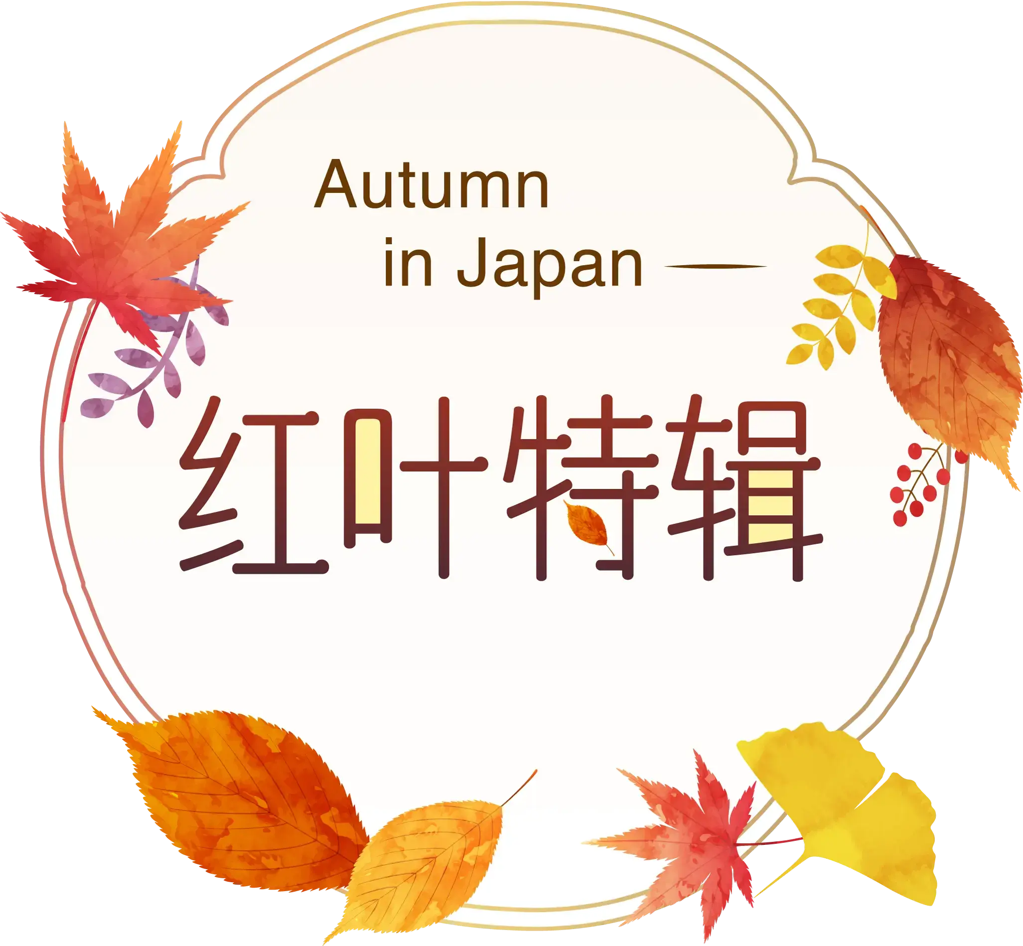 红叶特辑