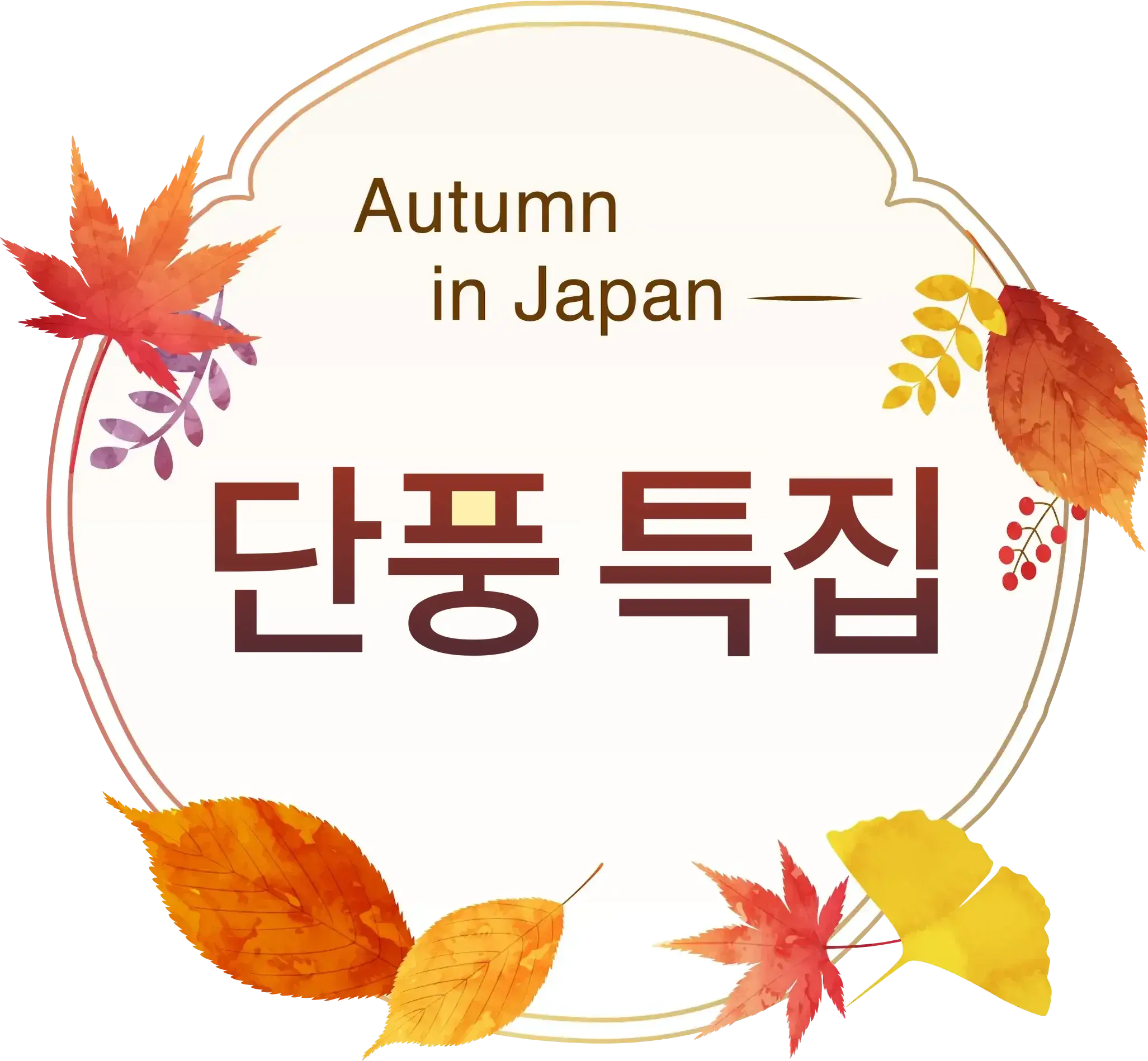 단풍 특집