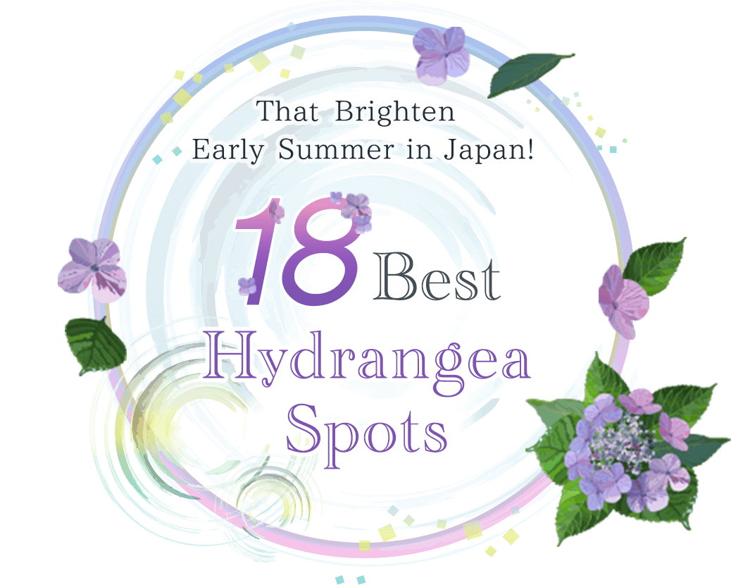 18 Best Hydrangea Spots That Brighten Early Summer in Japan!