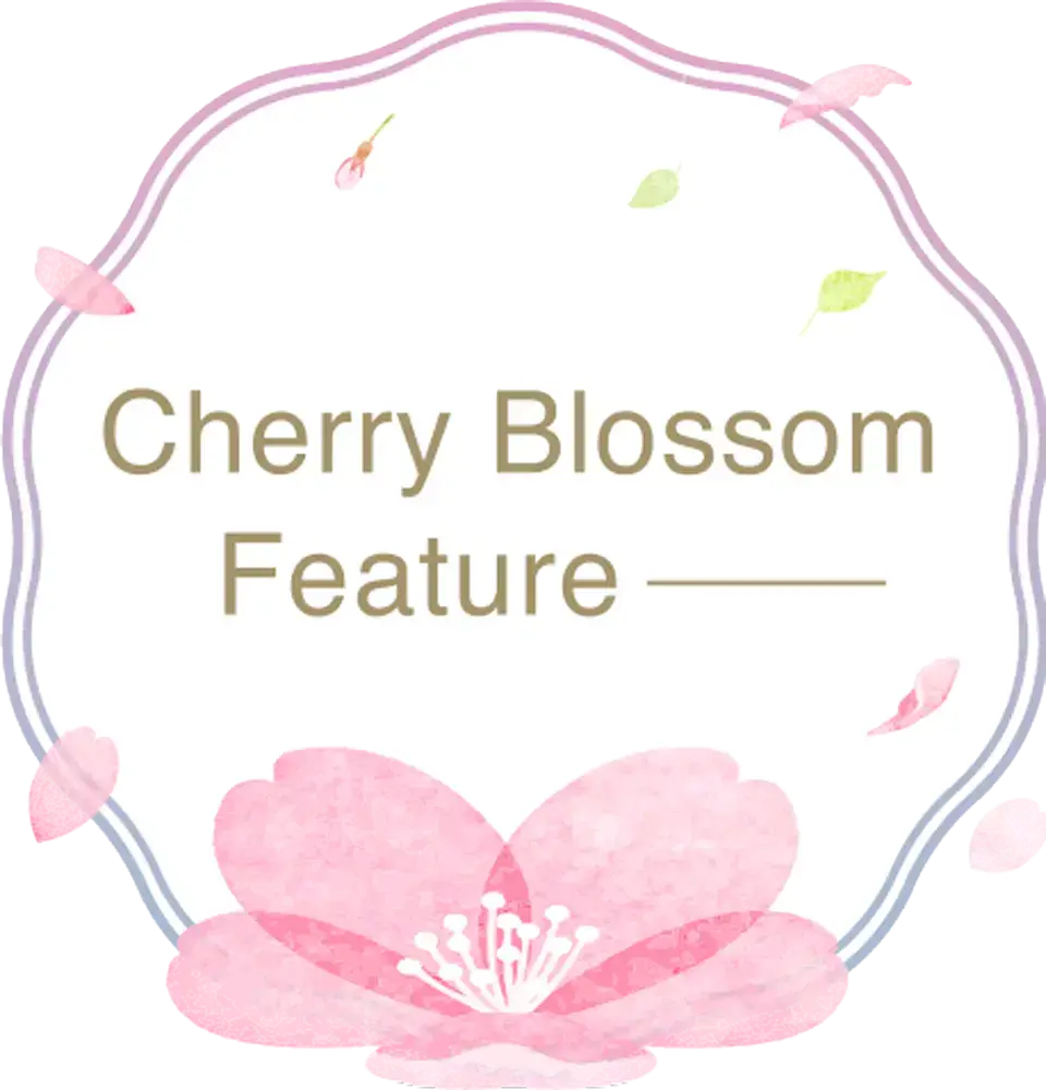 Cherry Blossom Feature