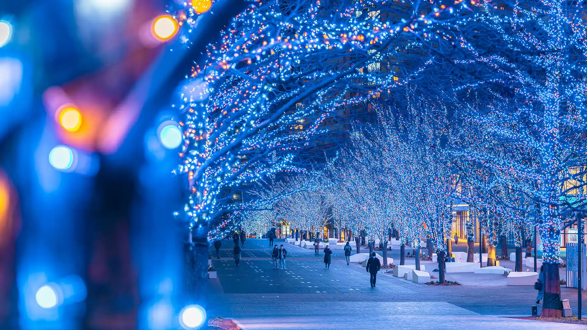 Winter in Japan 2025