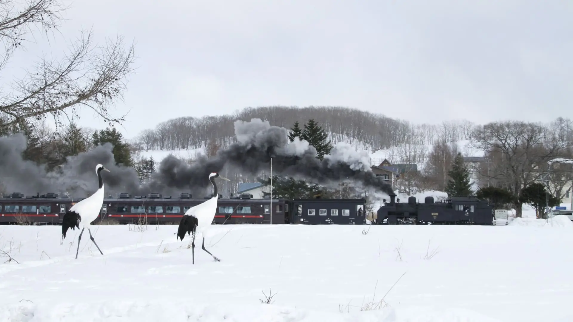 釧路・根室の観光ガイド