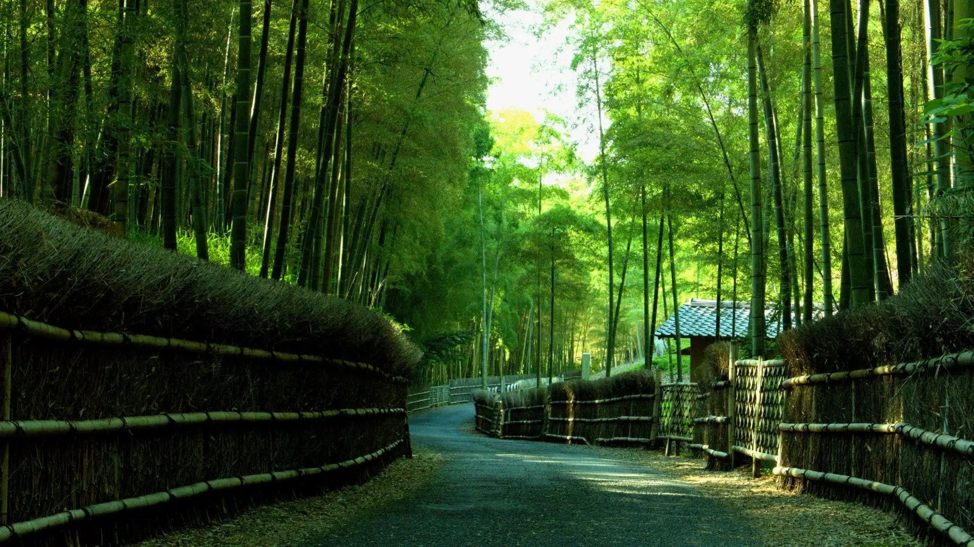 Guía de viaje de Nagaokakyo y Otokuni