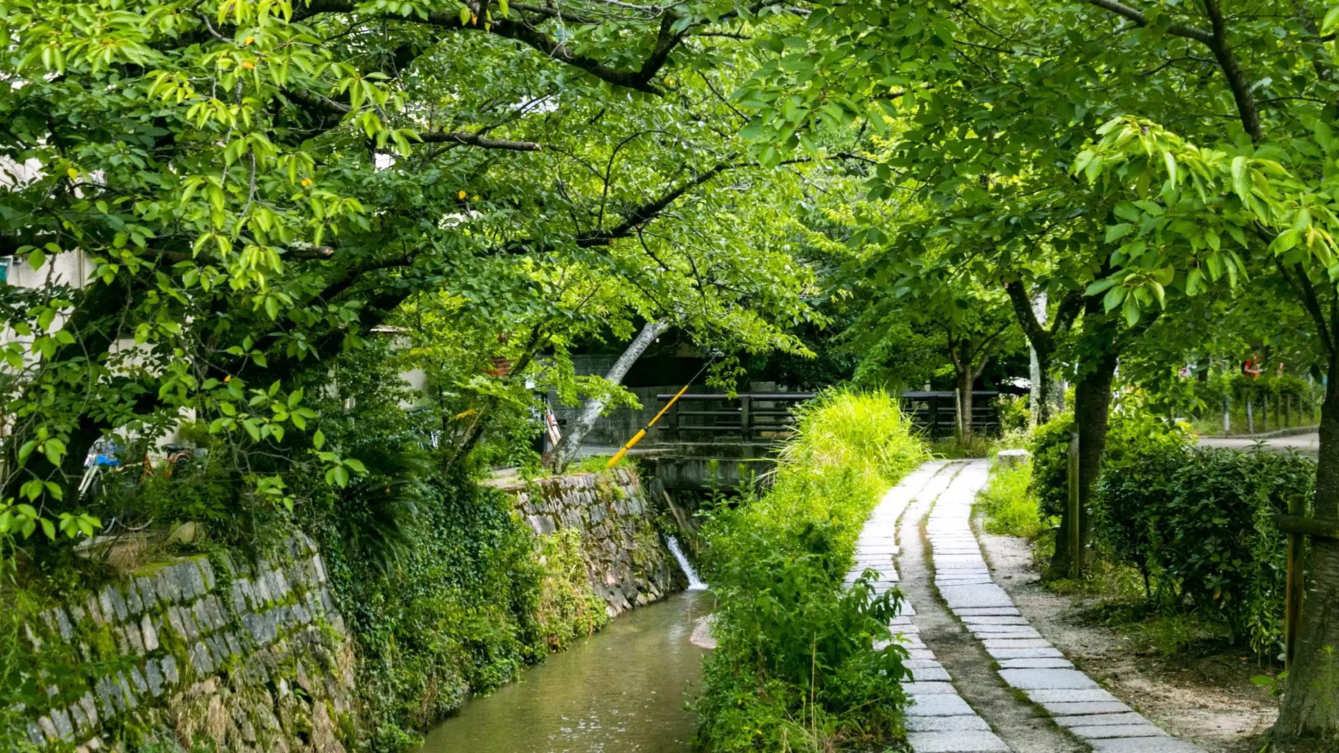 Guía de viaje de Okazaki, templo Ginkakuji y Ohara