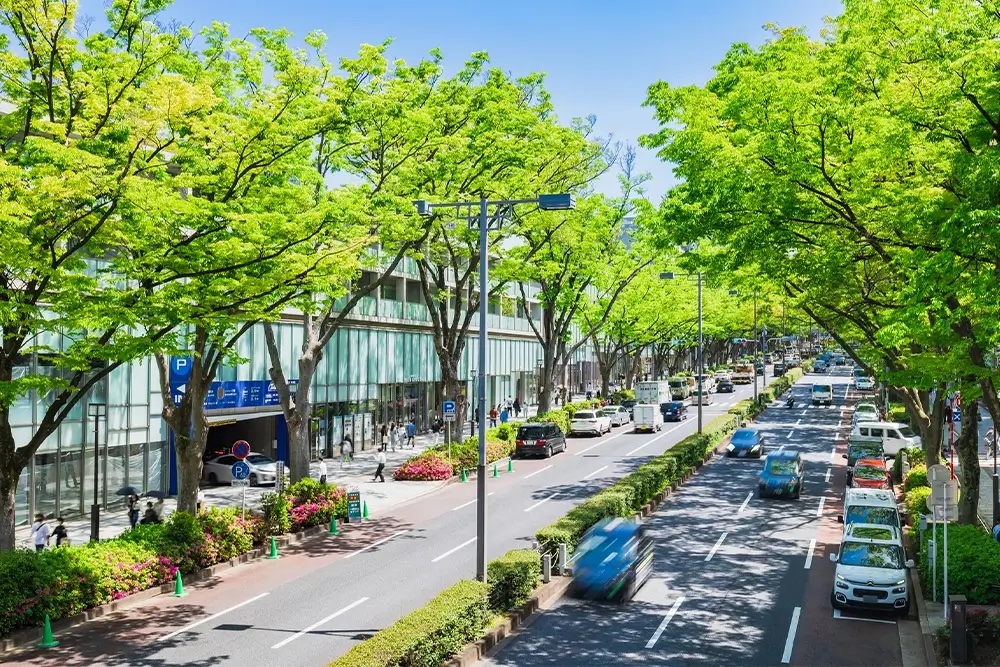 Shibuya et Harajuku - Guide de voyage