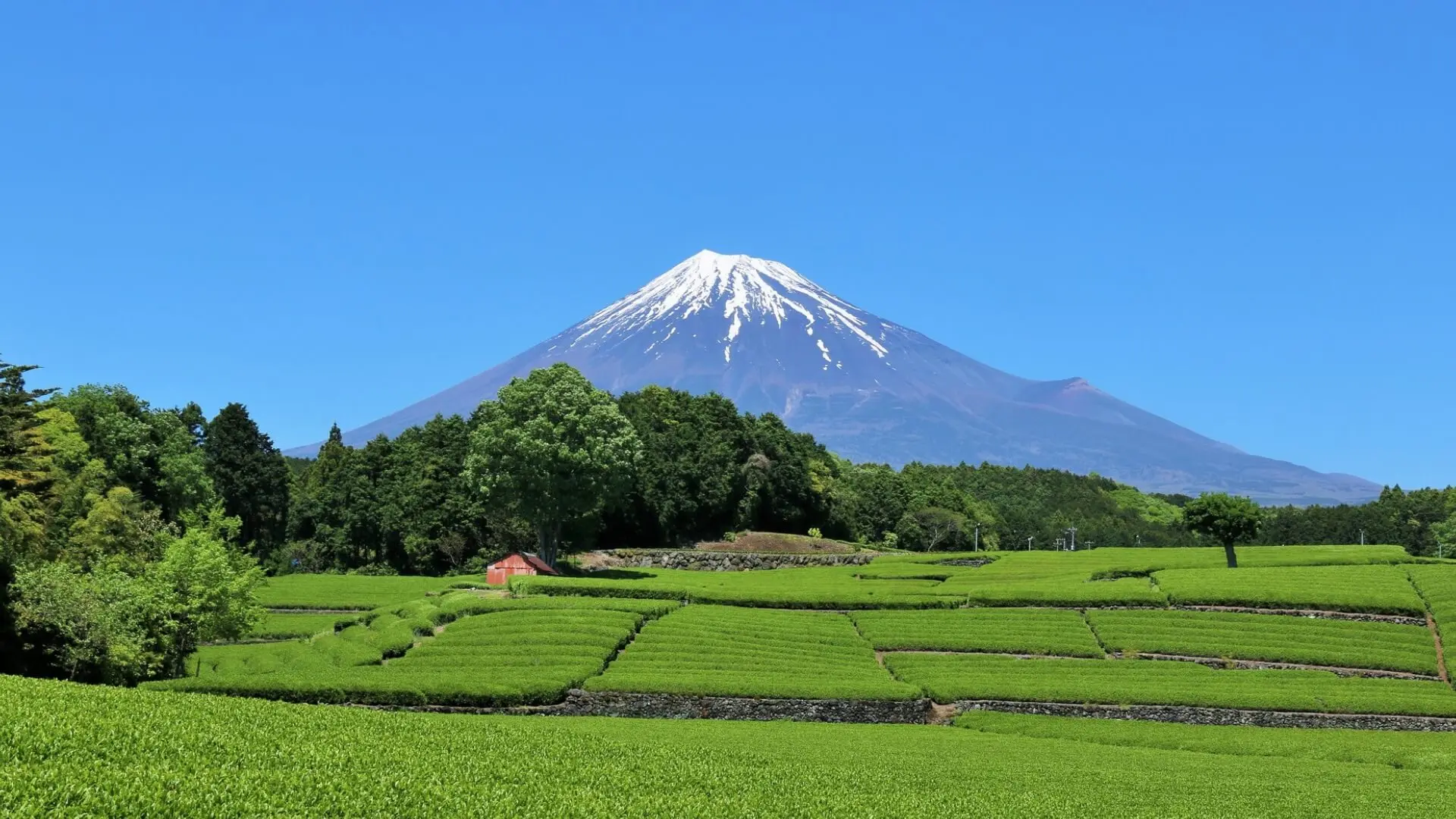 Shizuoka - Guide de voyage