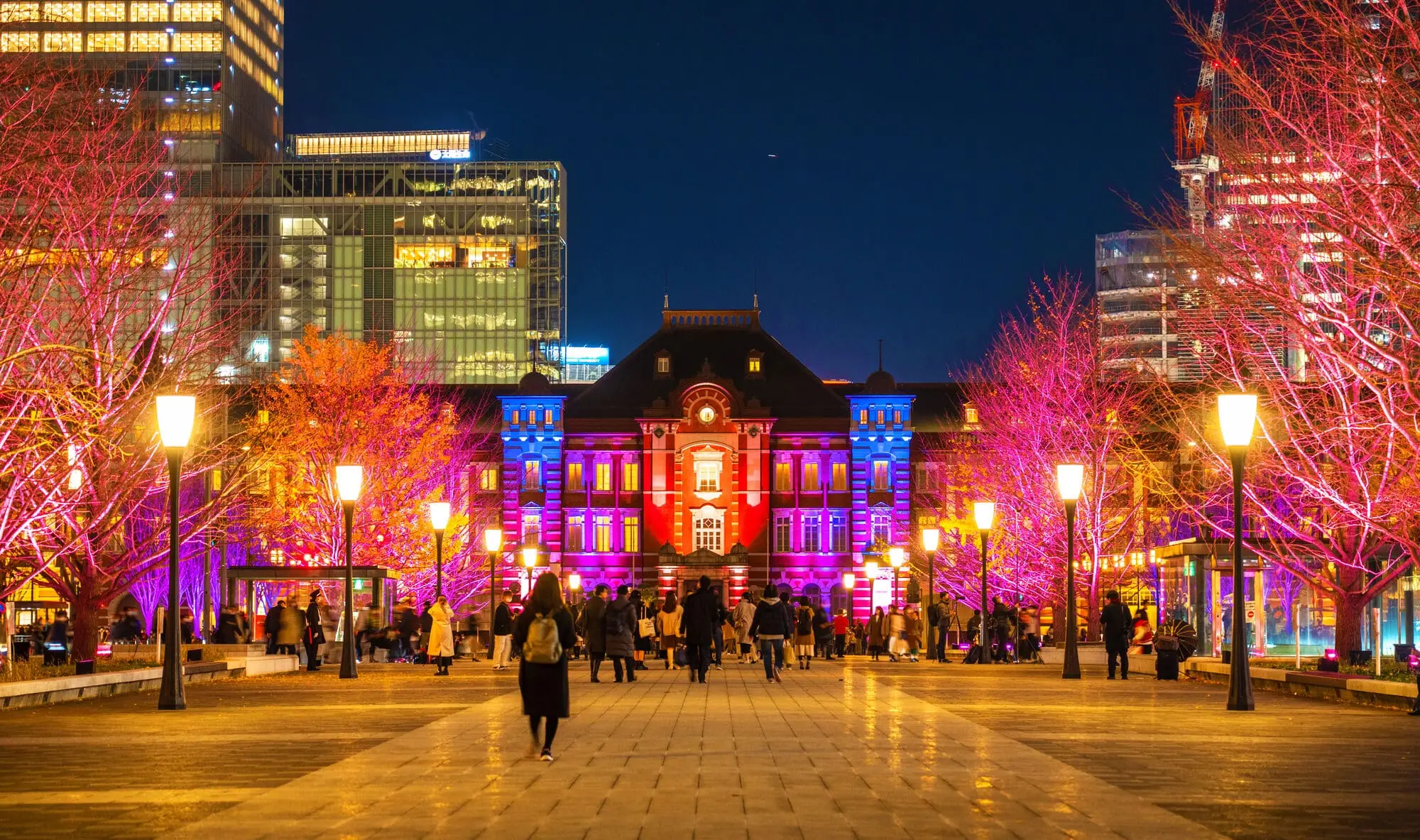 東京夜遊導覽