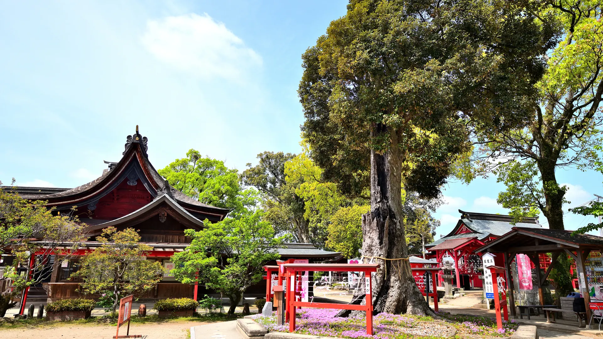 Yame / Chikugo Travel Guide