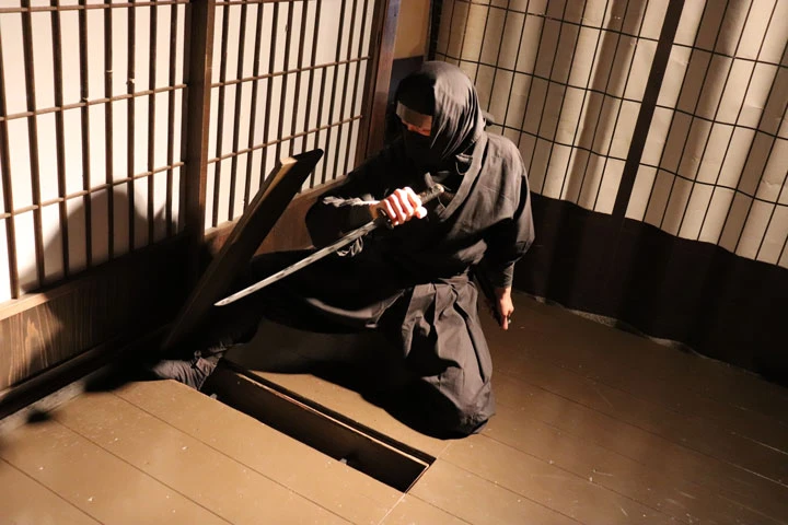 Samurai and Ninja