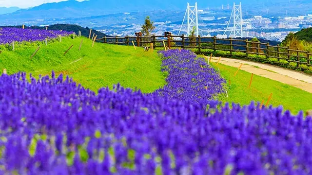 Awaji Island Travel Guide