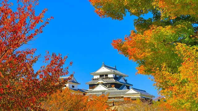 Matsuyama Travel Guide