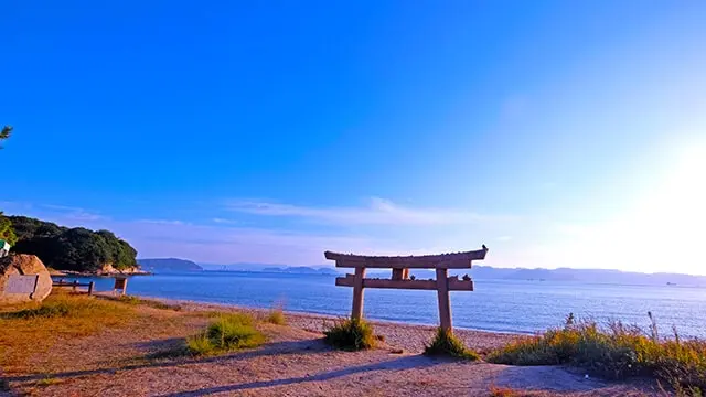 直岛自由行完整指南