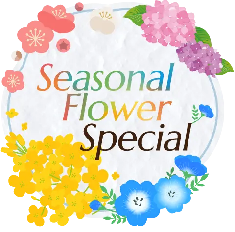 Seasonal Flower Special