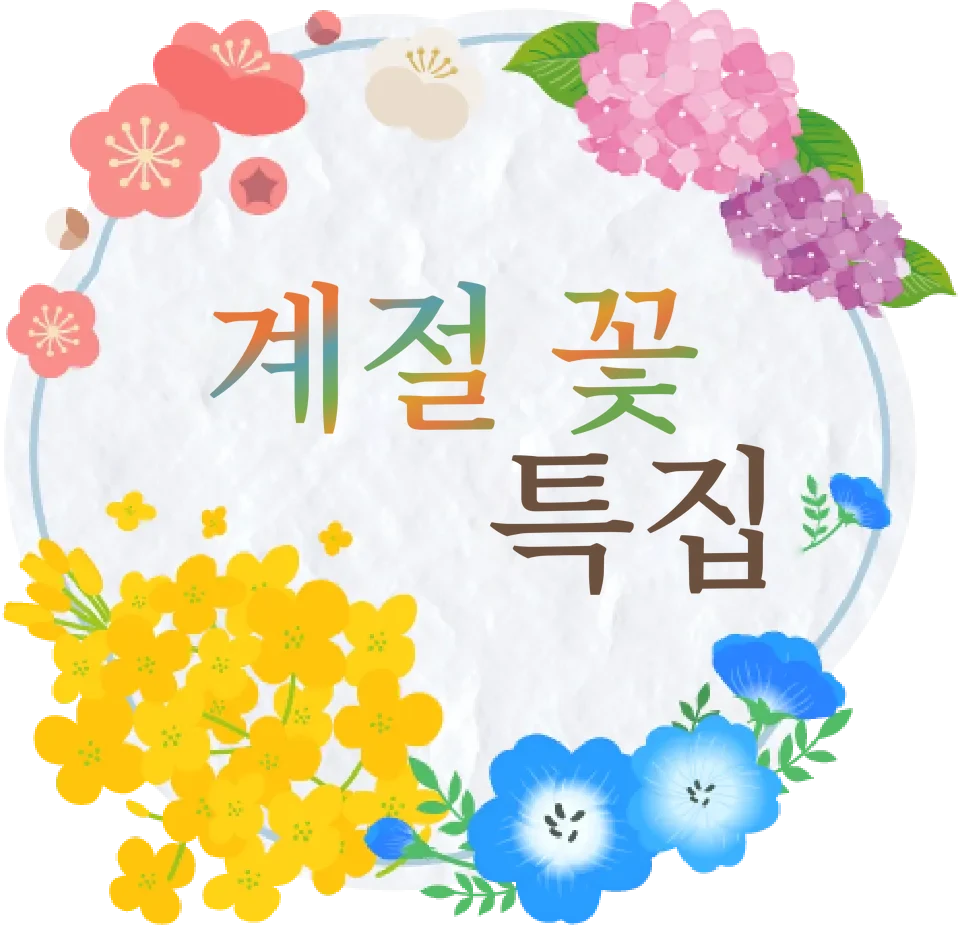 계절 꽃 특집