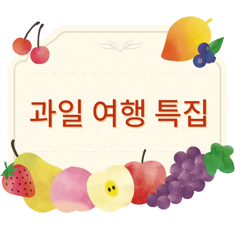 과일 여행 특집
