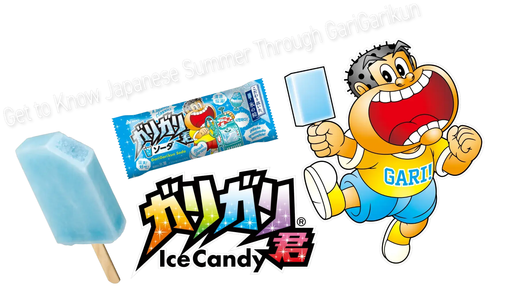 Get to Know Japanese Summer Through GariGarikun