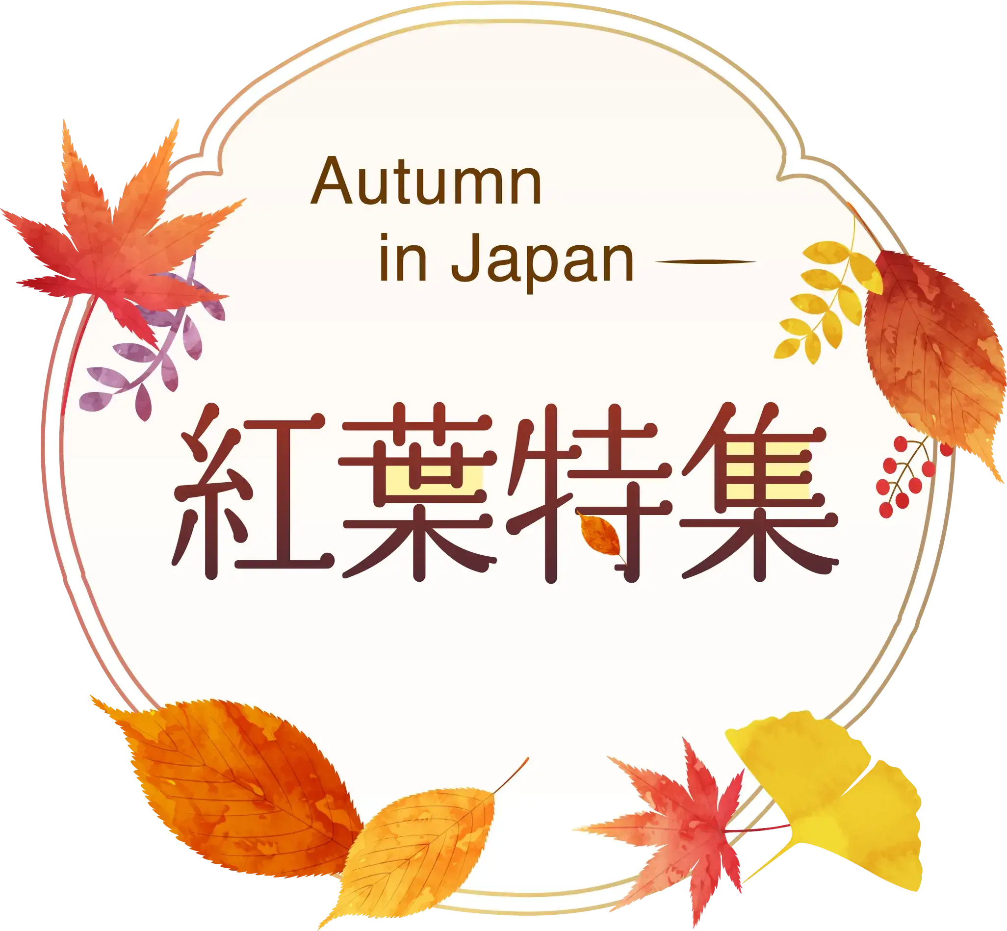 紅葉特集