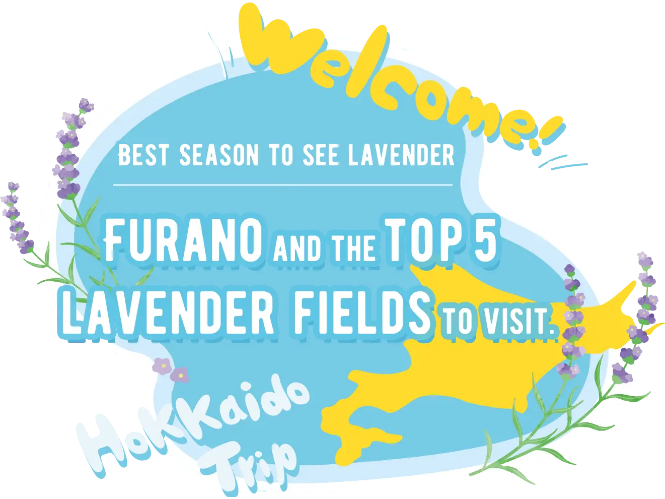 The Best Time to Visit Furano's Lavender Fields and Top 5 Lavender Fields to Explore