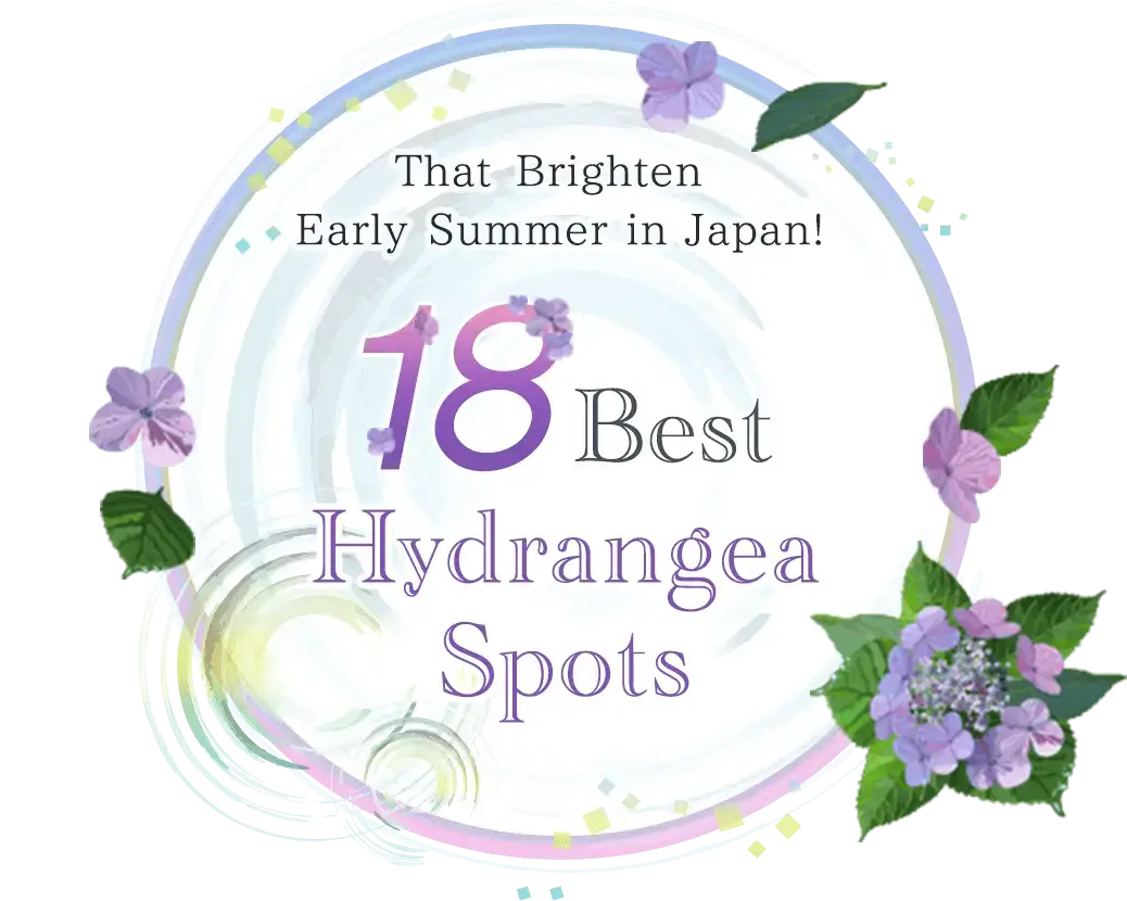 18 Best Hydrangea Spots That Brighten Early Summer in Japan