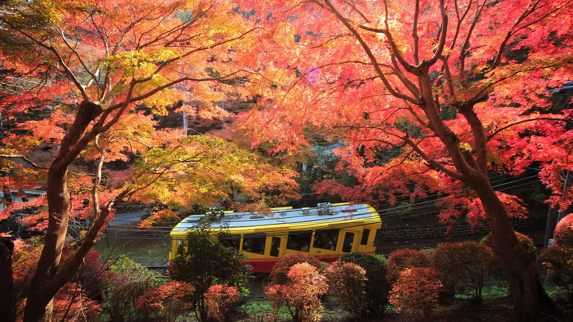 Mt.Takao+one