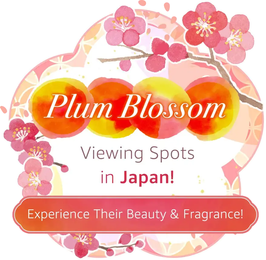 Plum Blossom Viewing Spots in Japan! Experience Their Beauty & Fragrance!