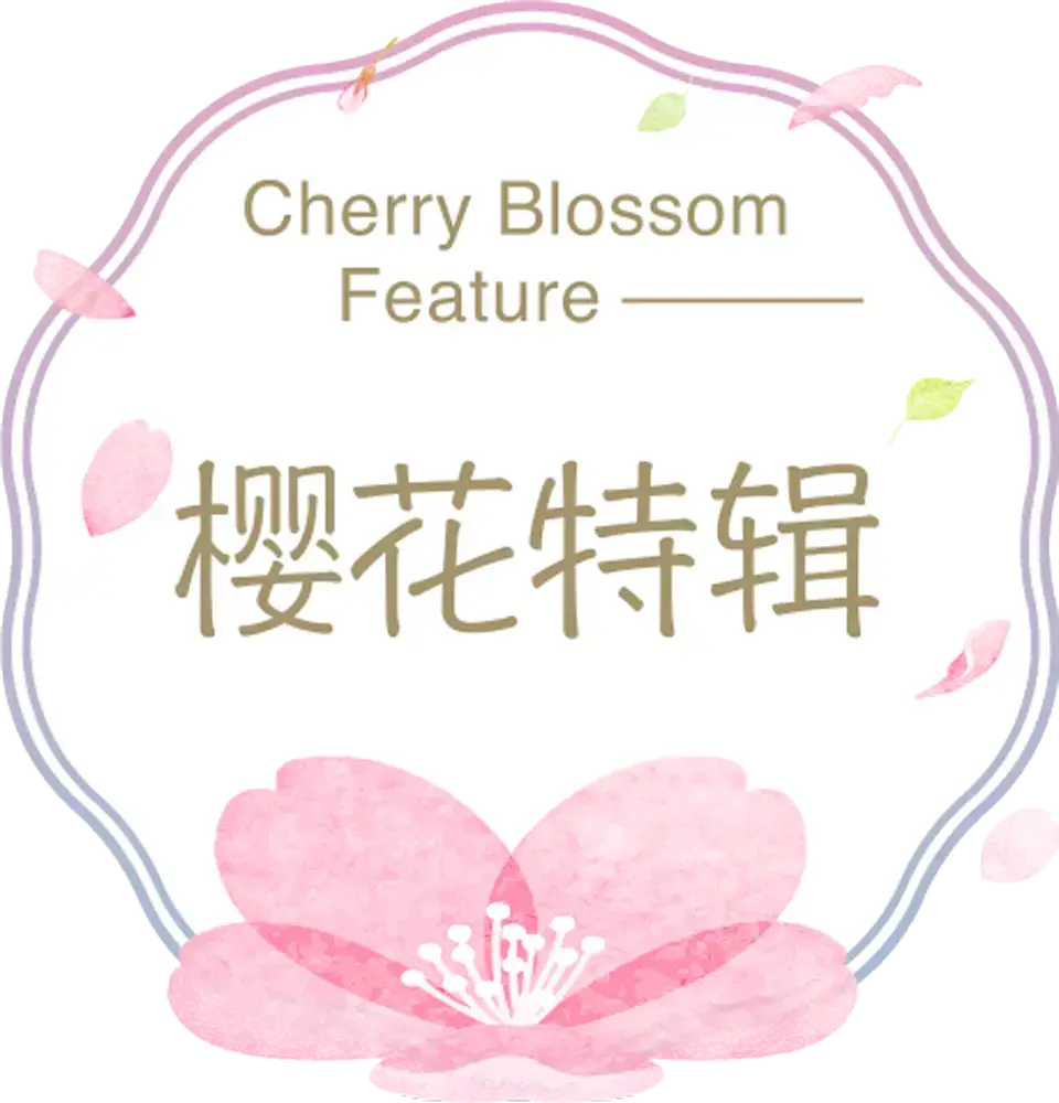 樱花特辑