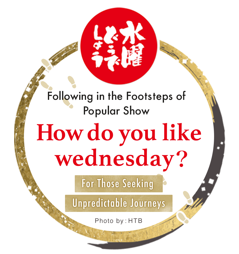 For Those Seeking Unpredictable Journeys: Following in the Footsteps of Popular Show How do you like wednesday?