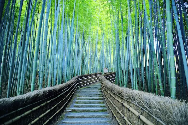 Arts & Traditions of Japan