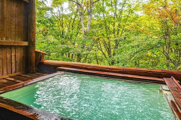 根据泉质不同，温泉的特征也有所差异