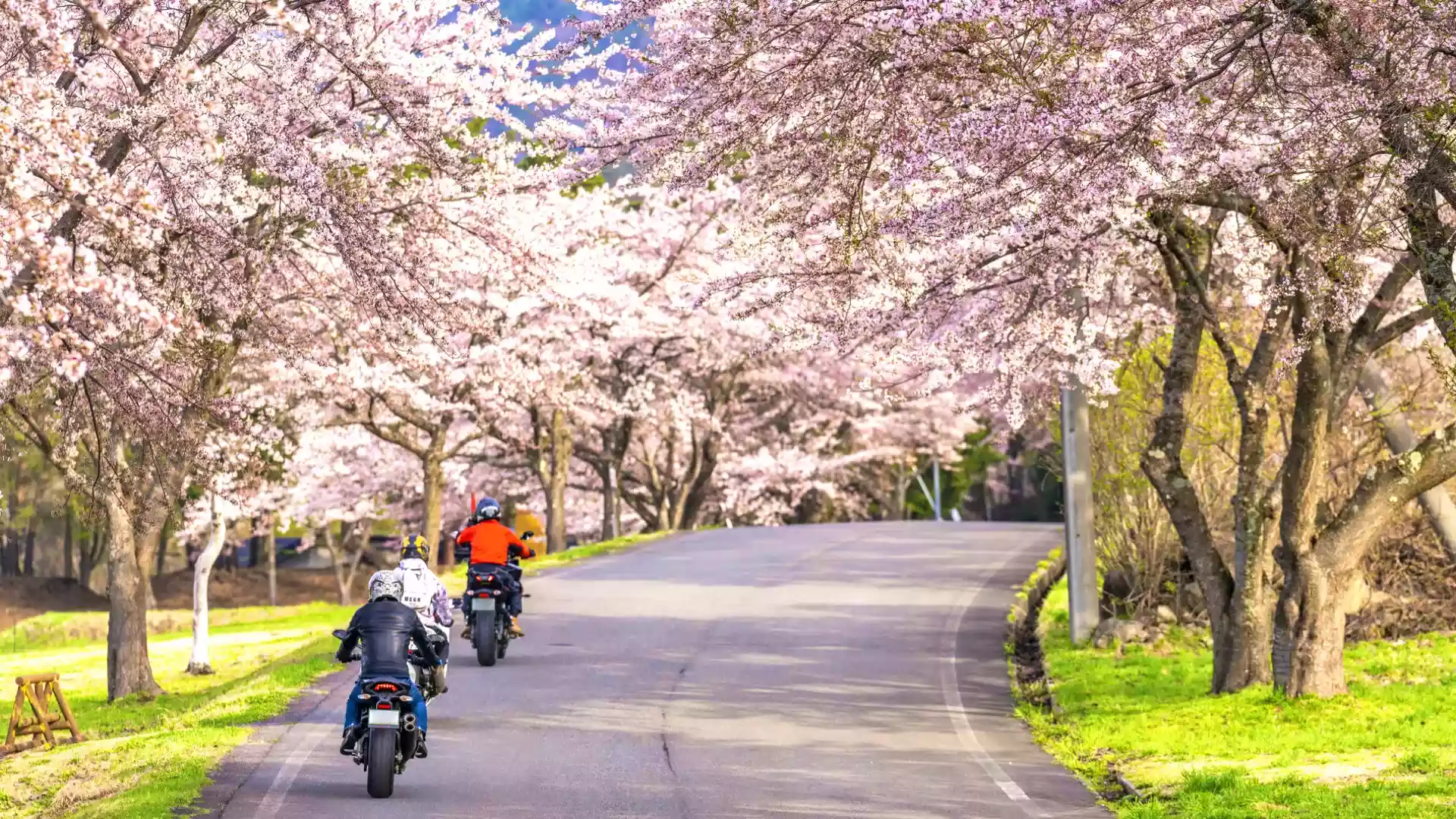 Motorcycle Touring Feature