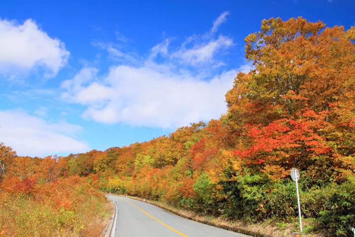 蔵王エコーライン