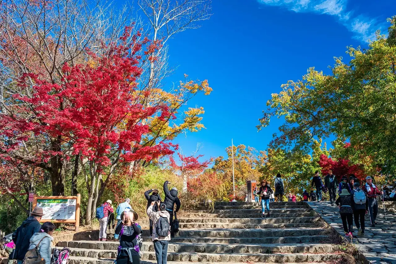 高尾山紅葉ハイキングガイド！鮮やかな紅葉とハイキングを楽しもう！