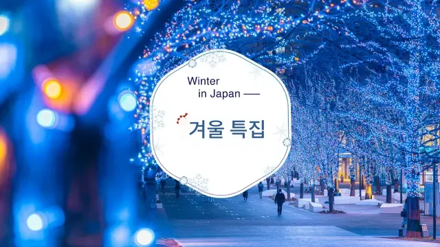 겨울 특집