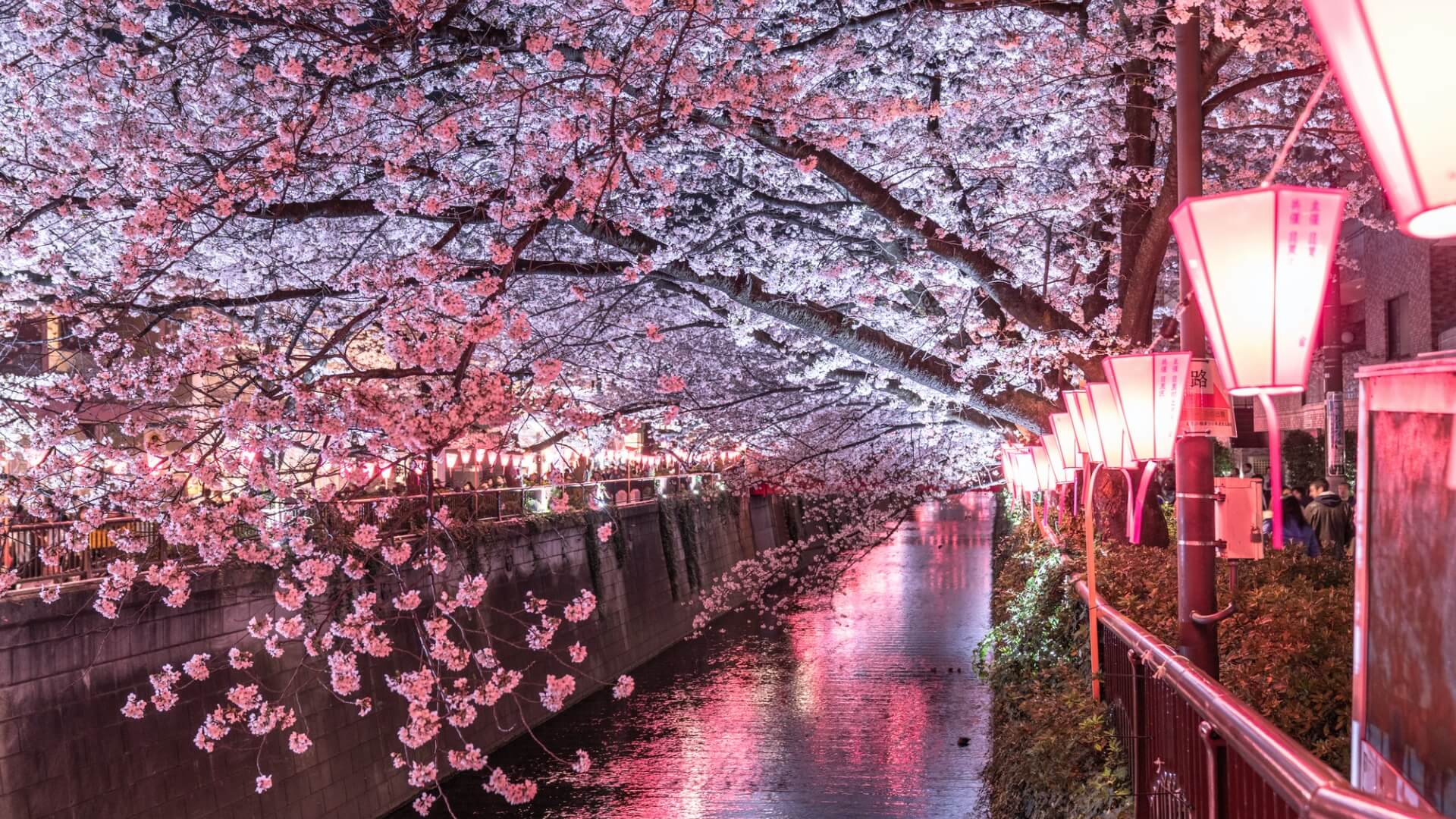 惠比壽