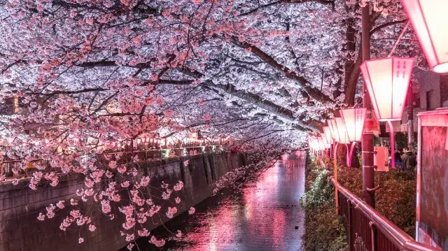 Ebisu et Meguro
