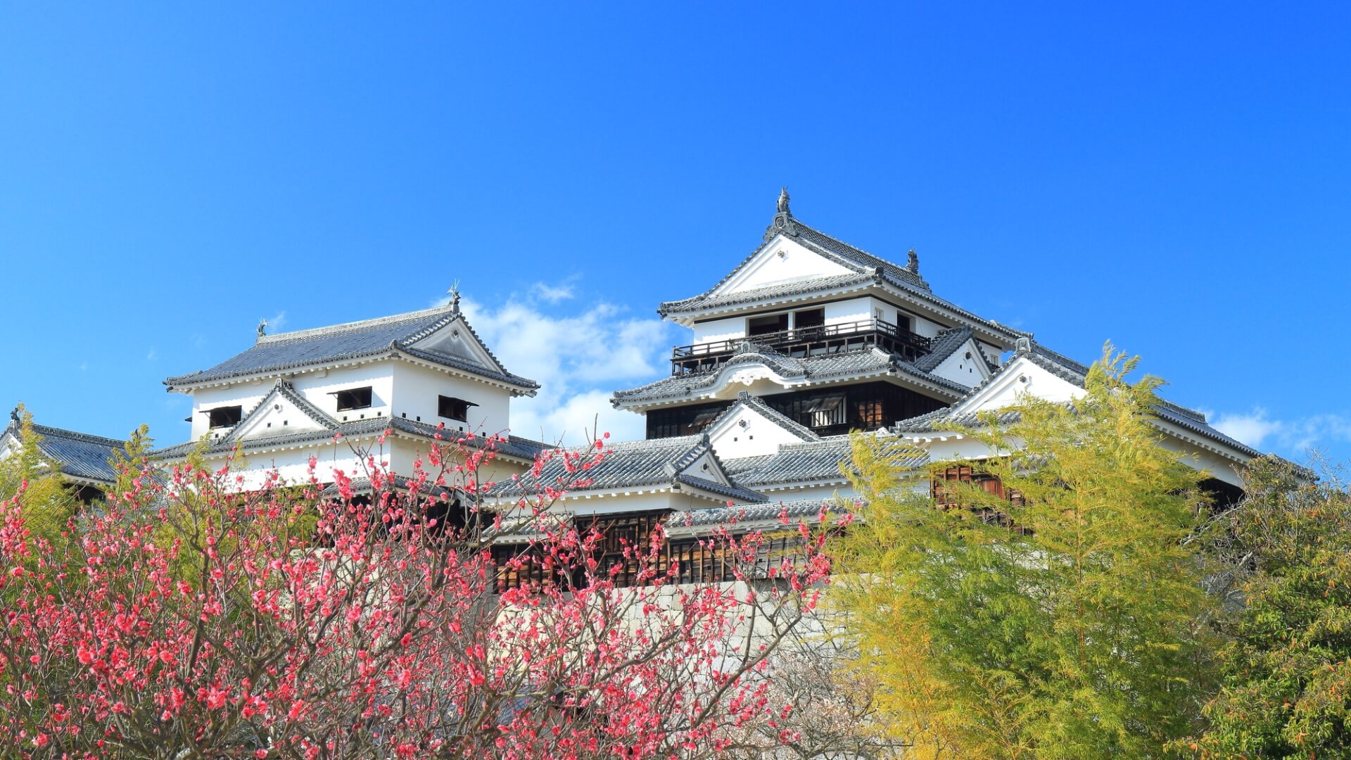 愛媛県観光ガイド