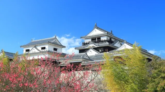 愛媛県