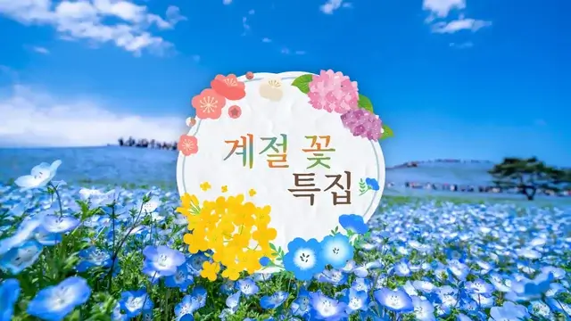 계절 꽃 특집