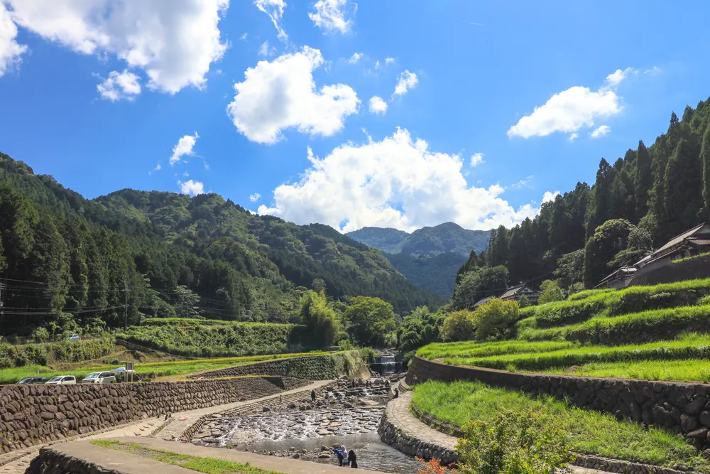 行橋・豊前・京築