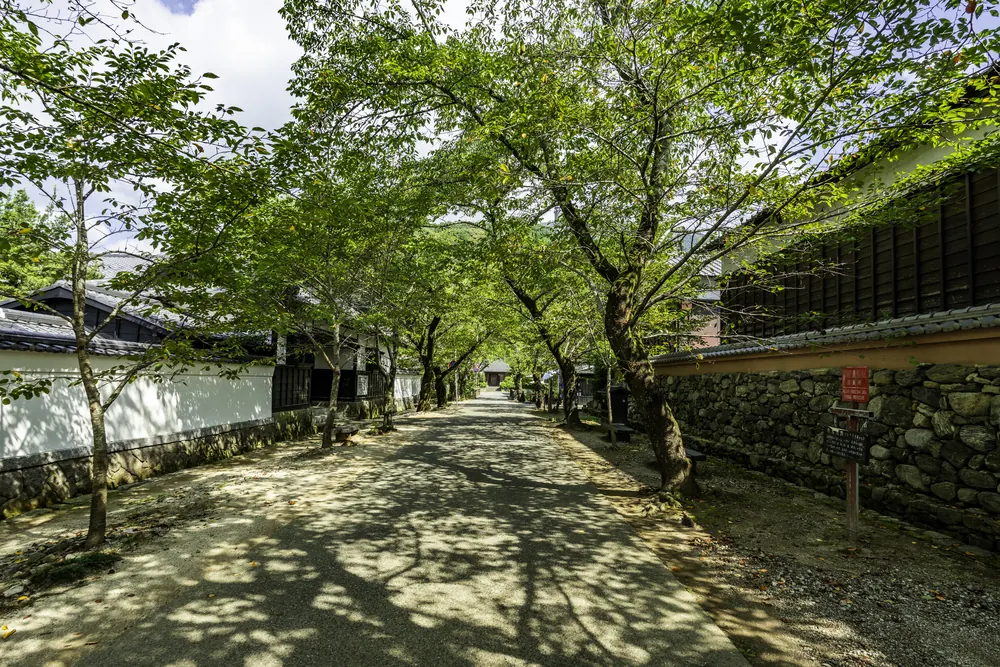 城下町の面影をたどり、福岡の歴史にふれる