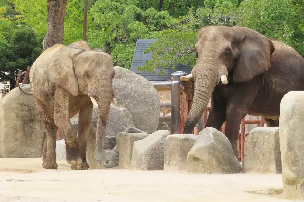 祇園・安佐動物公園・可部