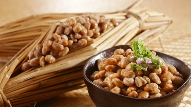 茨城県観光ガイド