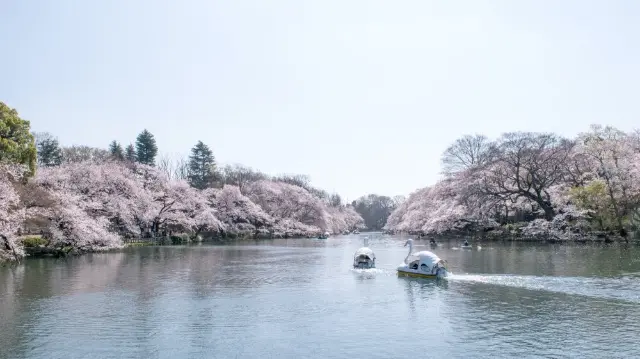 吉祥寺