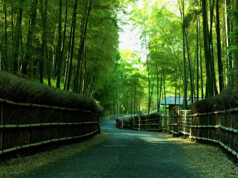 Nagaokakyo, Otokuni