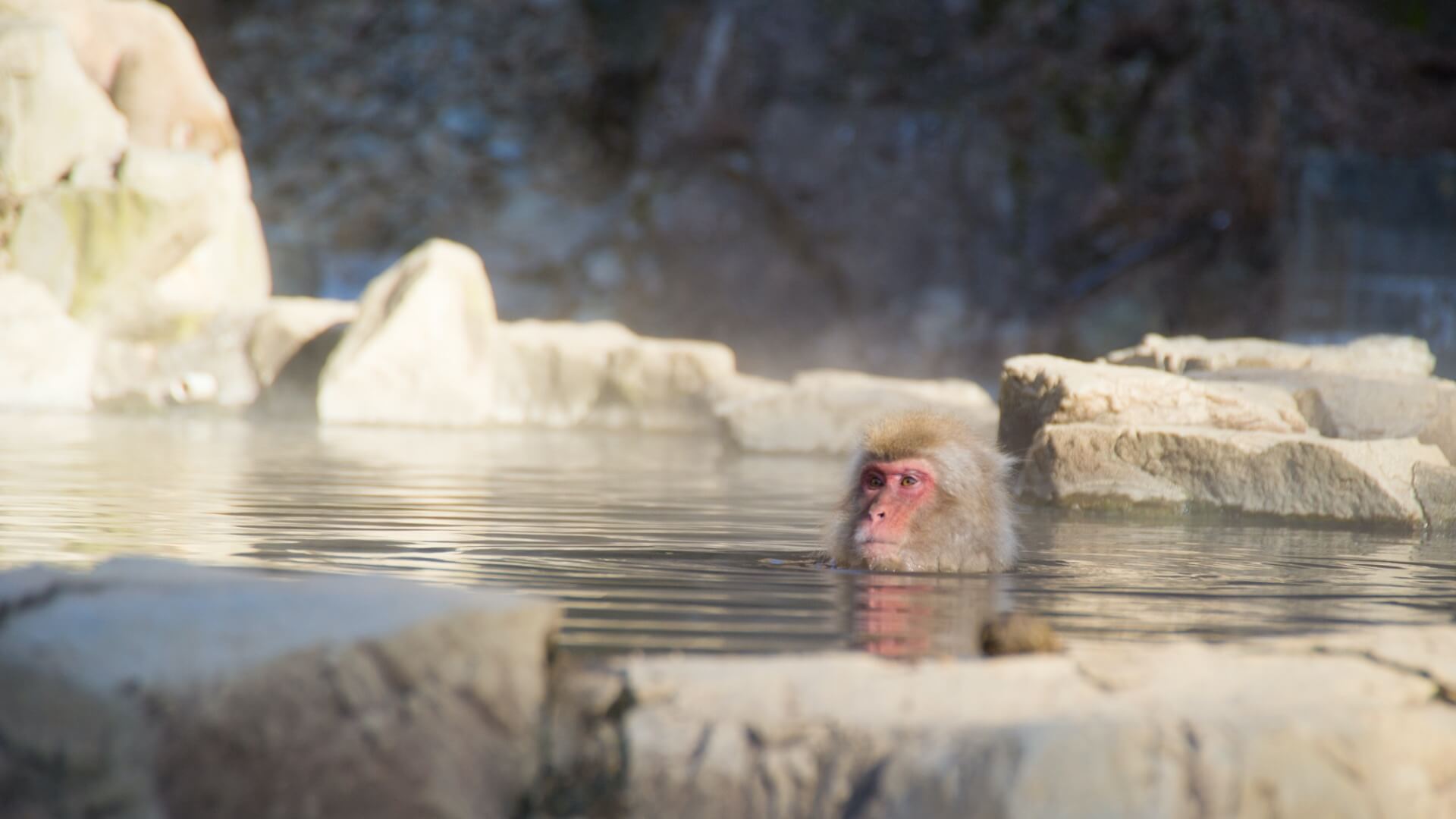 长野县