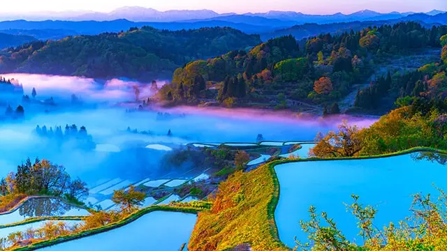 Niigata Prefecture