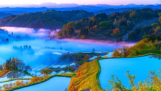 Niigata Prefecture