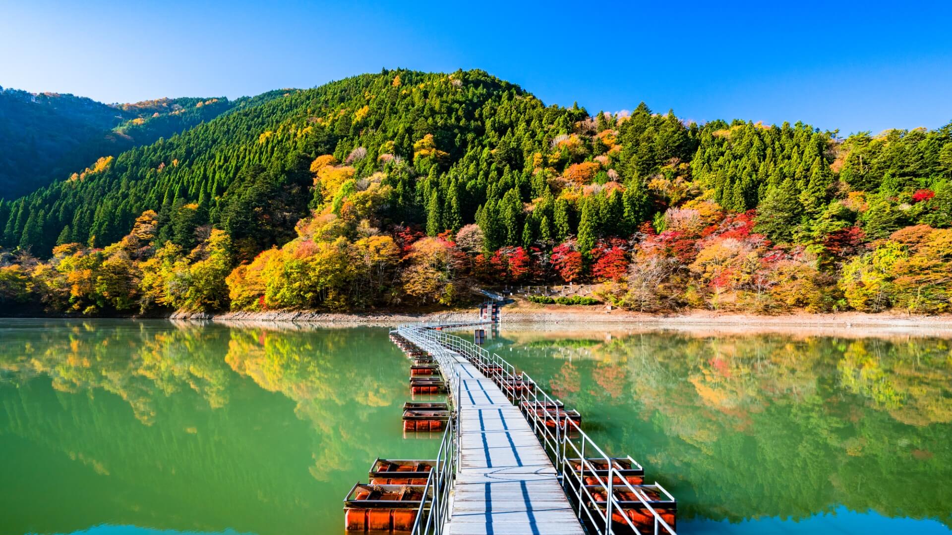 奥多摩