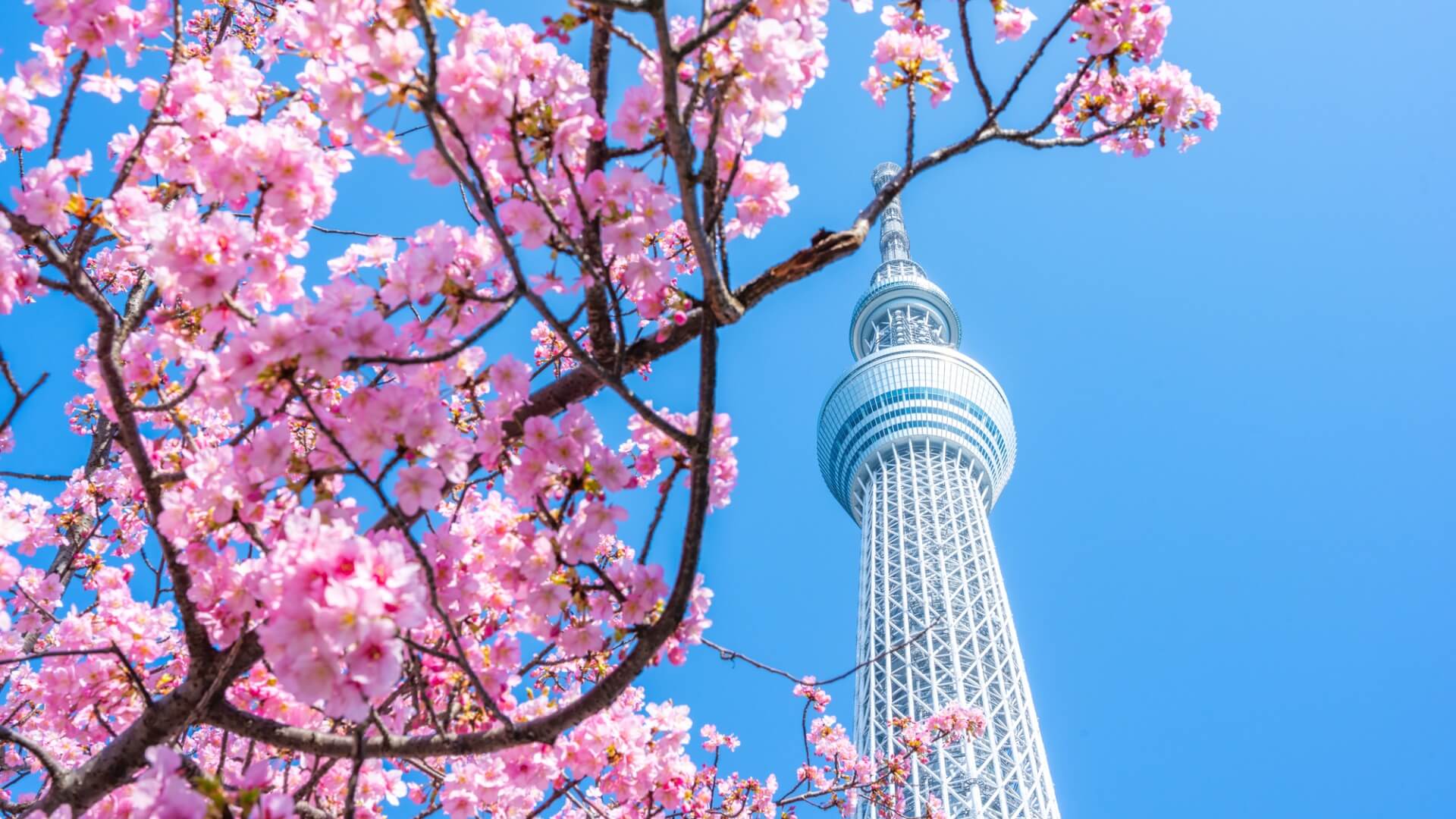 押上