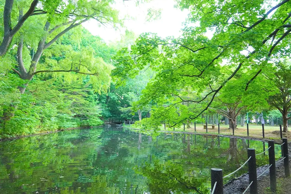 円山エリアで自然と歴史にふれる